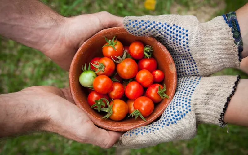 Jardinage à Abidjan